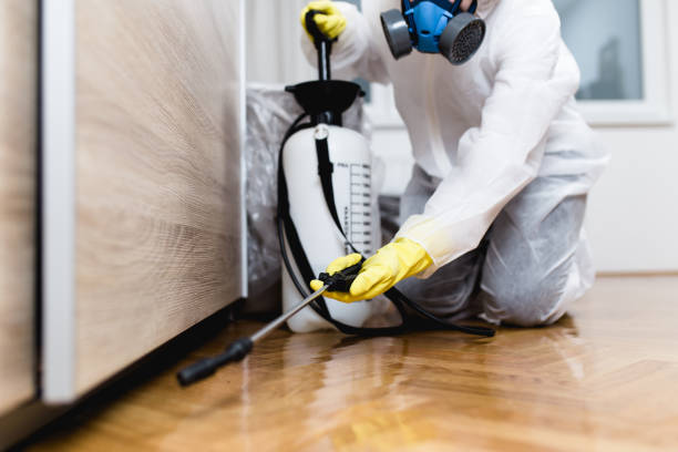 Best Emergency Pest Control  in Wyncote, PA