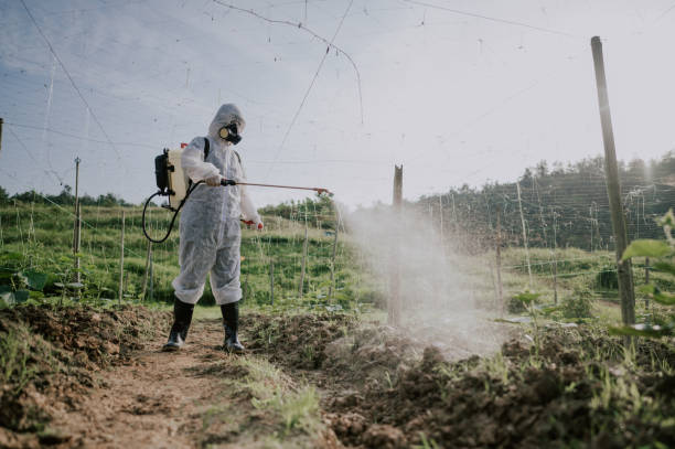 Best Pest Removal Services  in Wyncote, PA