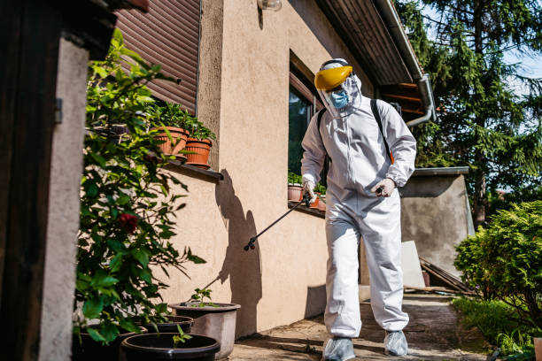 Best Emergency Pest Control  in Wyncote, PA