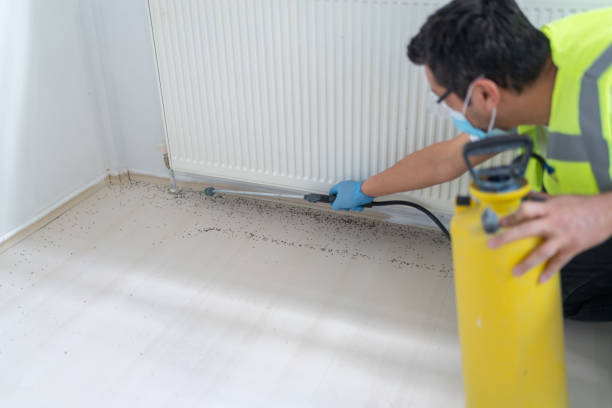 Wasp Removal Services in Wyncote, PA