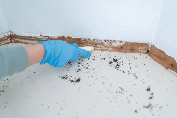 Best Affordable Pest Control Services  in Wyncote, PA